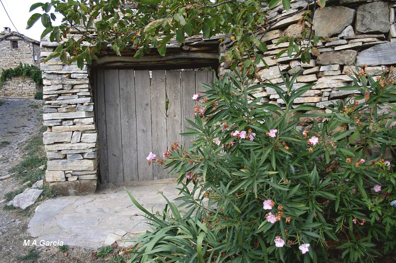Foto de Castillejo de San Pedro (Soria), España