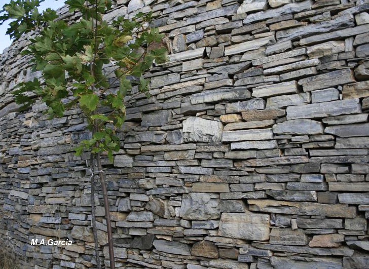 Foto de Castillejo de San Pedro (Soria), España