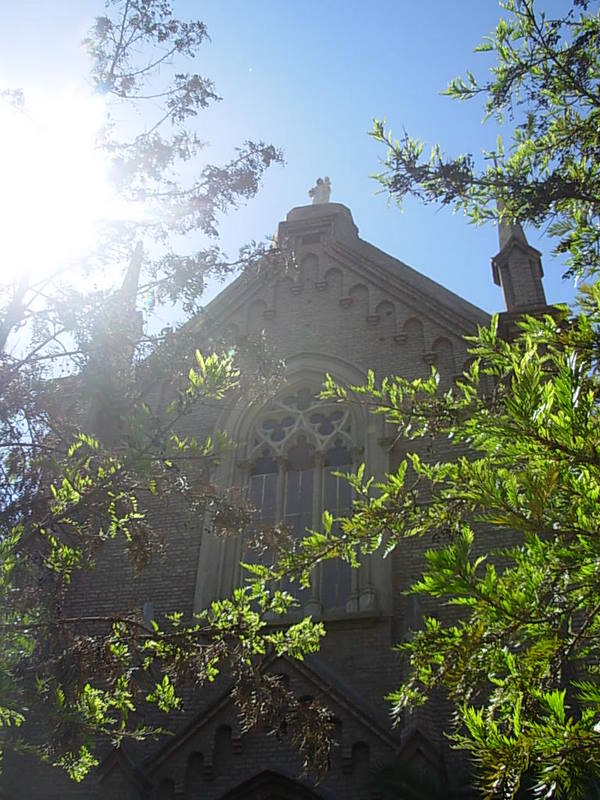 Foto de Curimon, Chile