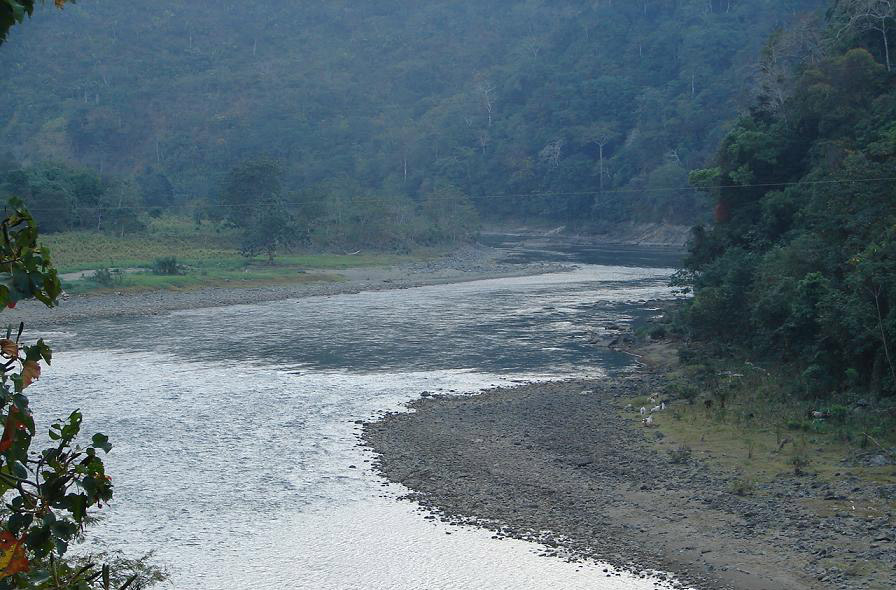 Foto de Grande de Terraba, Costa Rica