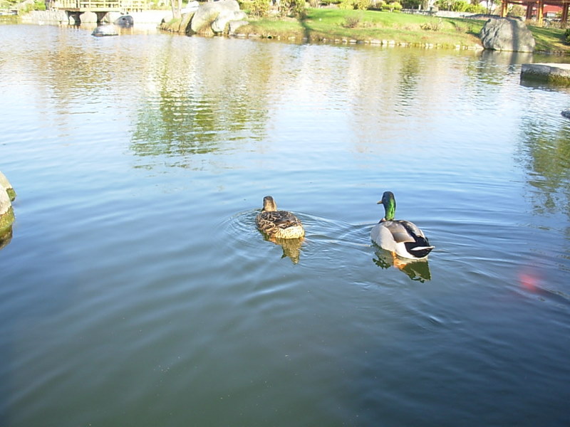Foto de La Serena, Chile