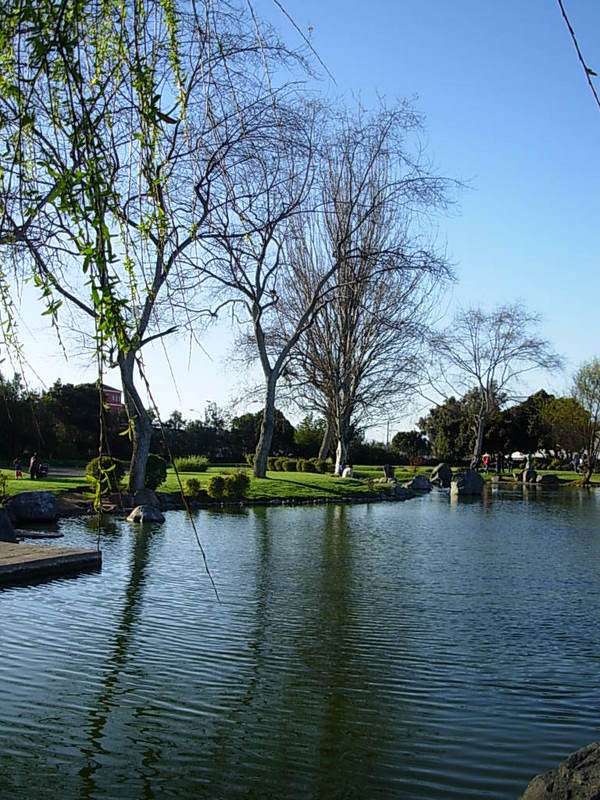 Foto de La Serena, Chile