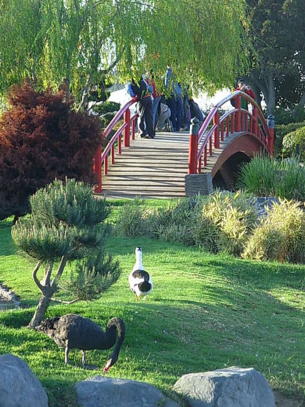 Foto de La Serena, Chile