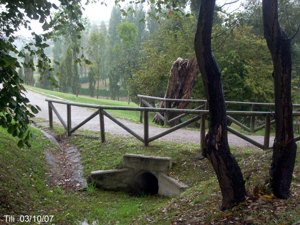 Foto de Oviedo (Asturias), España