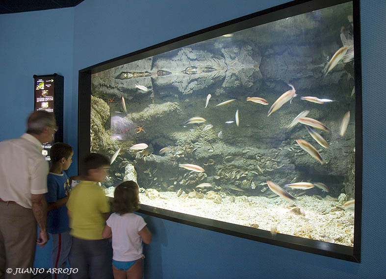 Foto de Gijón (Asturias), España