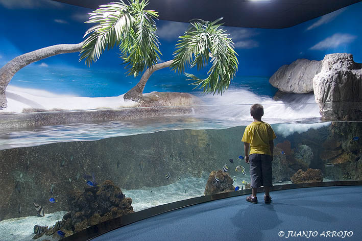 Foto de Gijón (Asturias), España