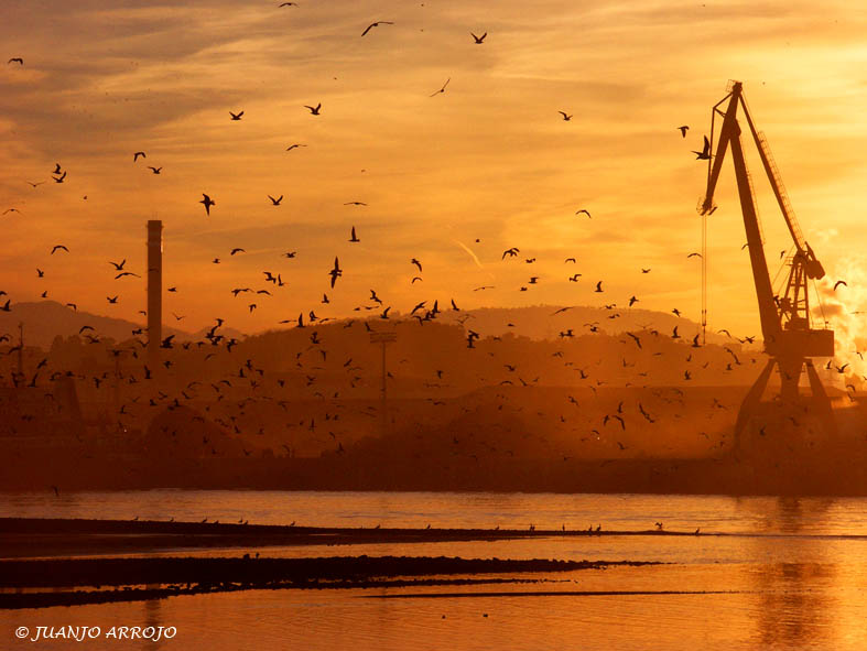 Foto de Avilés (Asturias), España