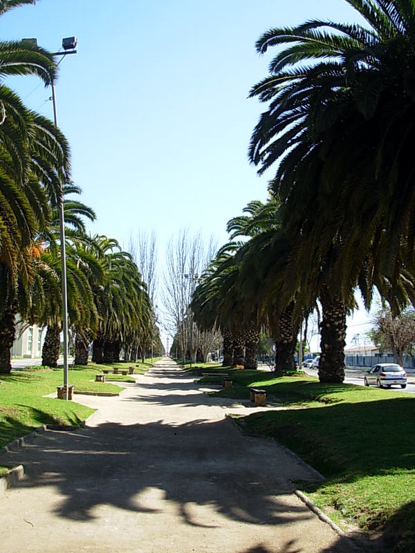 Foto de La Serena, Chile