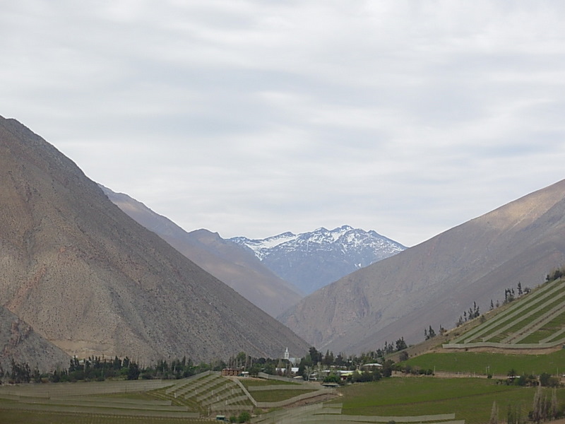 Foto de Monte Grande, Chile