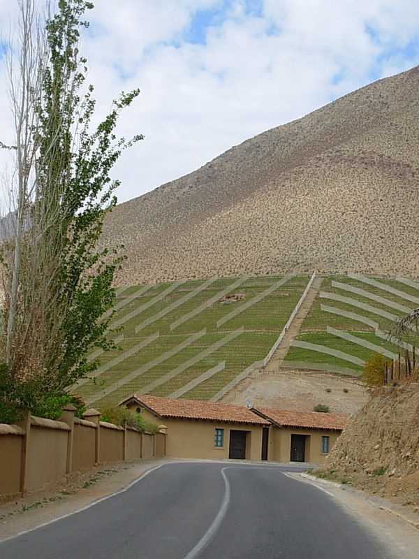 Foto de Monte Grande, Chile