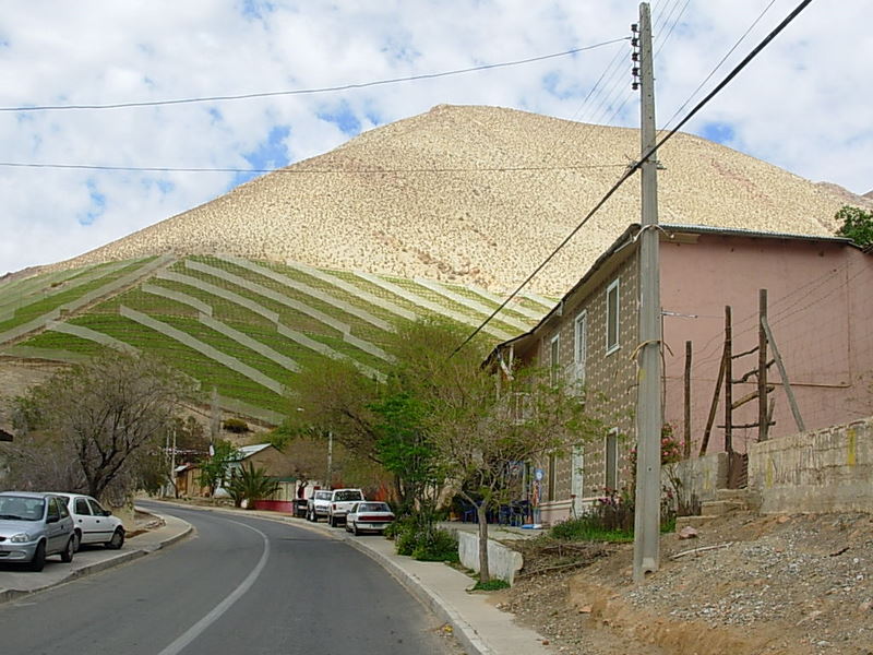 Foto de Monte Grande, Chile