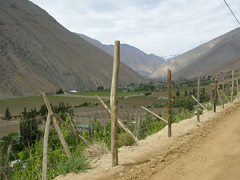 Foto de Pisco, Chile