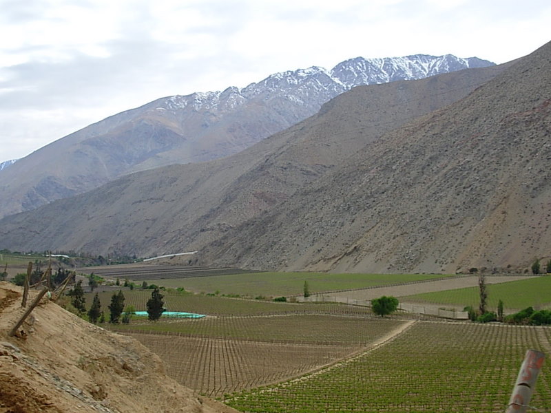 Foto de Pisco, Chile