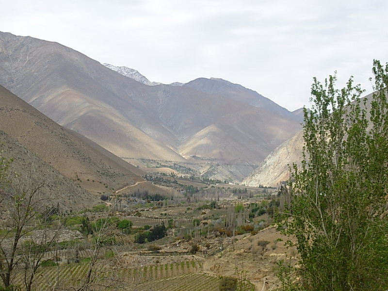 Foto de Pisco, Chile