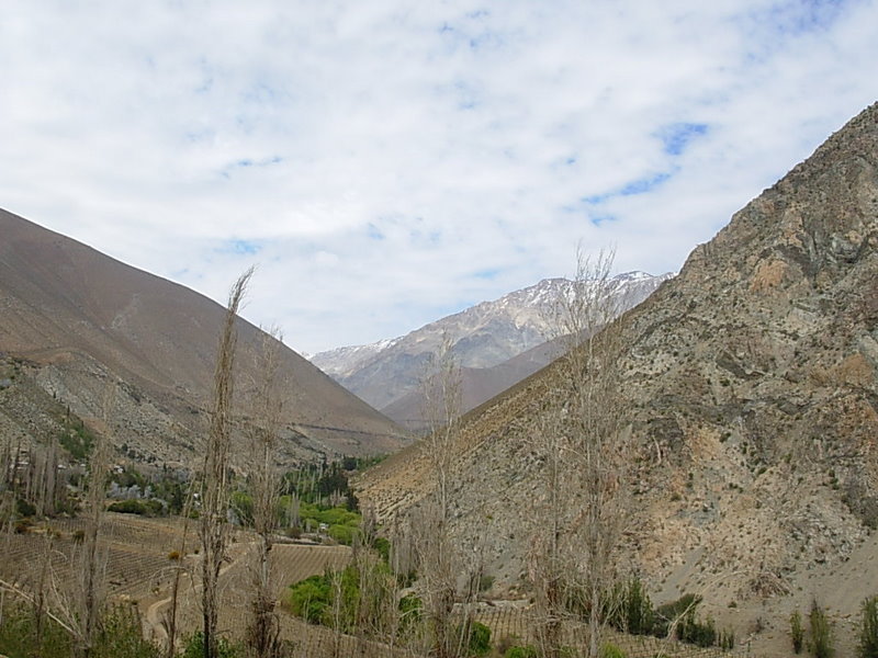 Foto de Pisco, Chile