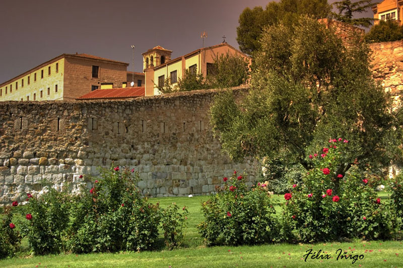 Foto de Zamora (Castilla y León), España