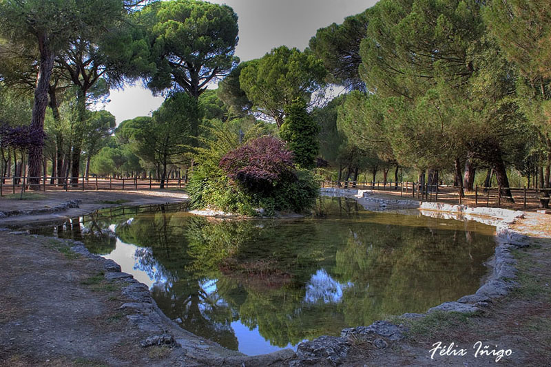 Foto de Zamora (Castilla y León), España