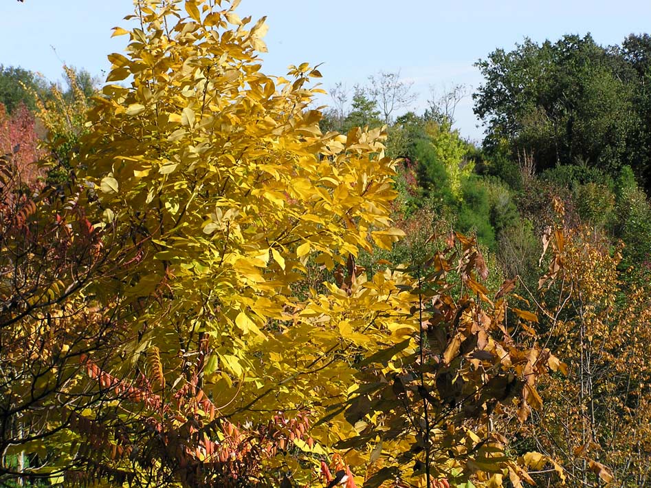 Foto de Aia (Gipuzkoa), España