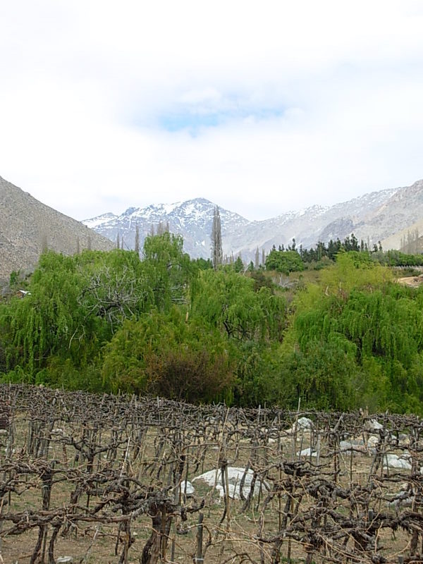 Foto de Alcohuaz, Chile