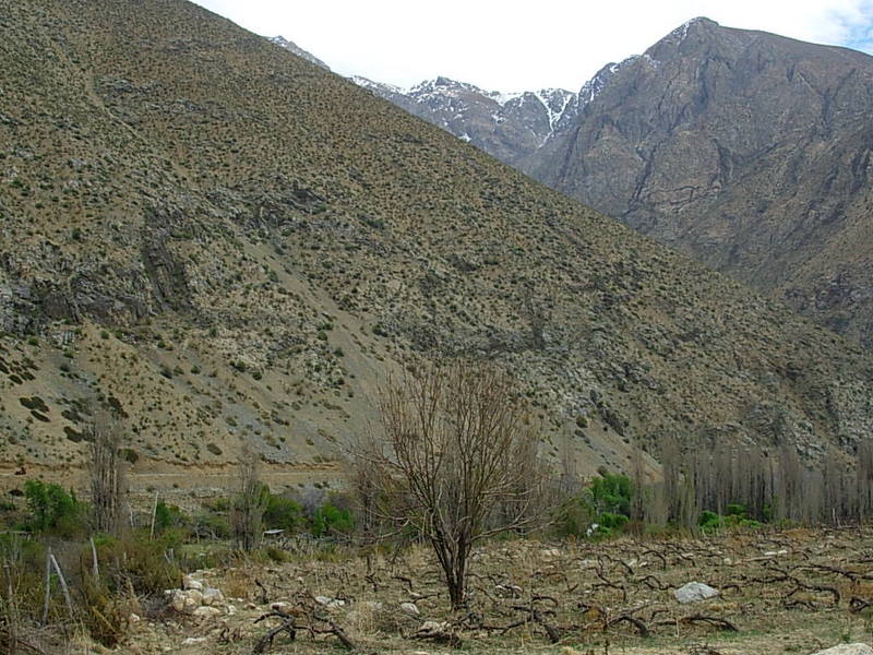 Foto de Alcohuaz, Chile