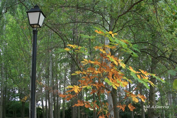 Foto de Ólvega (Soria), España