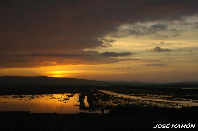 Foto de Sevilla (Andalucía), España