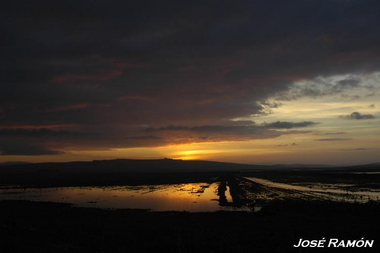 Foto de Sevilla (Andalucía), España