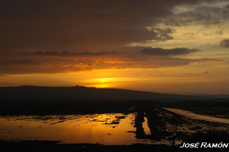 Foto de Sevilla (Andalucía), España