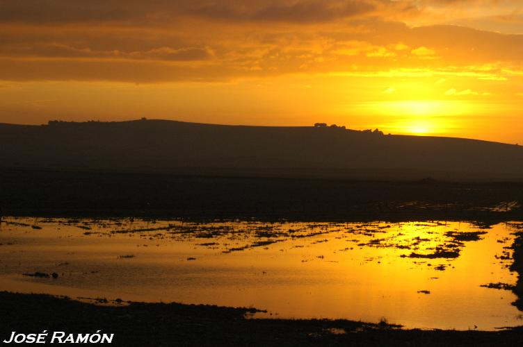 Foto de Sevilla (Andalucía), España
