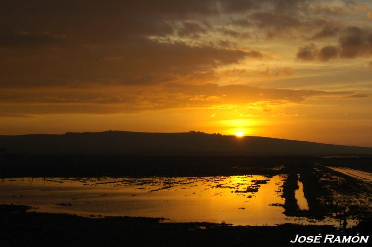 Foto de Sevilla (Andalucía), España