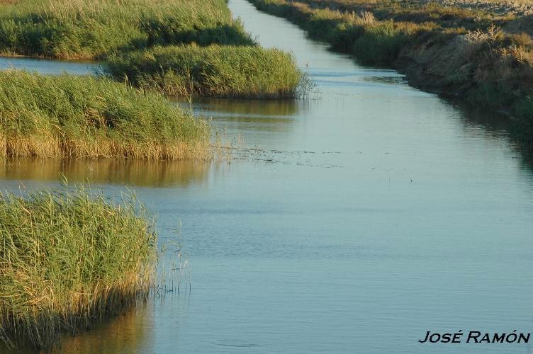 Foto de Trebujena (Cádiz), España