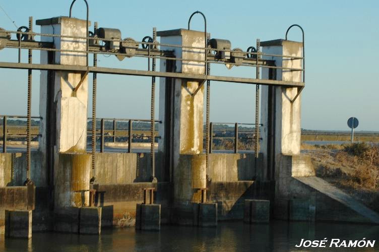 Foto de Trebujena (Cádiz), España