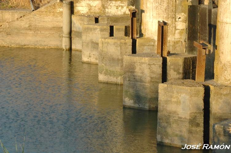 Foto de Trebujena (Cádiz), España