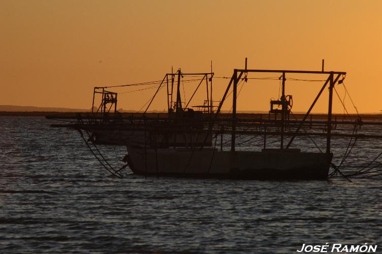 Foto de Trebujena (Cádiz), España