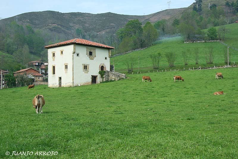 Foto de Benia - Onís (Asturias), España