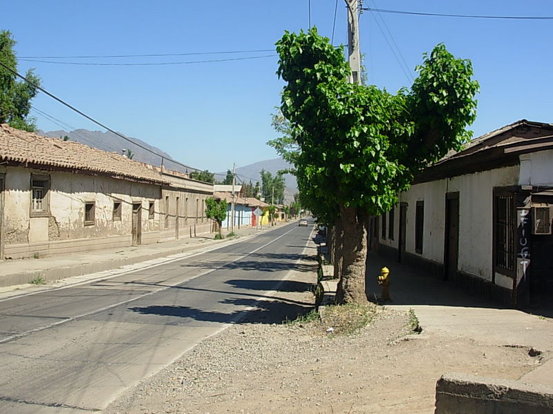 Foto de Curimon, Chile