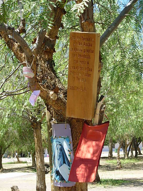 Foto de Los Andes, Chile