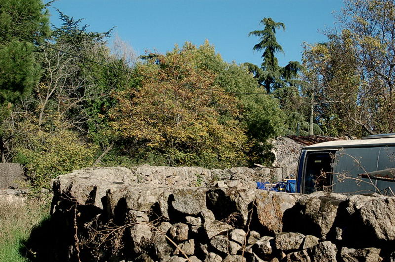 Foto de Navalquejigo (Madrid), España