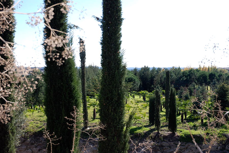 Foto de El Escorial (Madrid), España