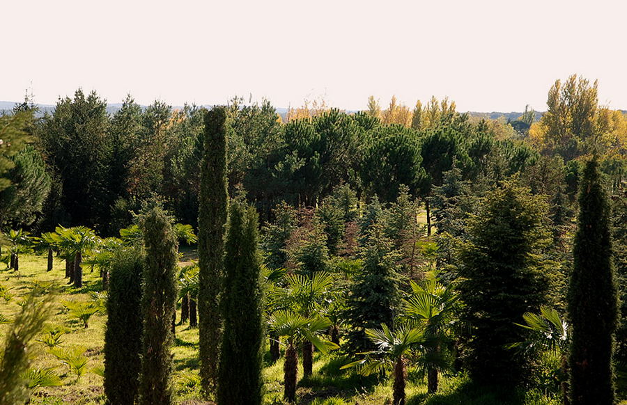 Foto de El Escorial (Madrid), España