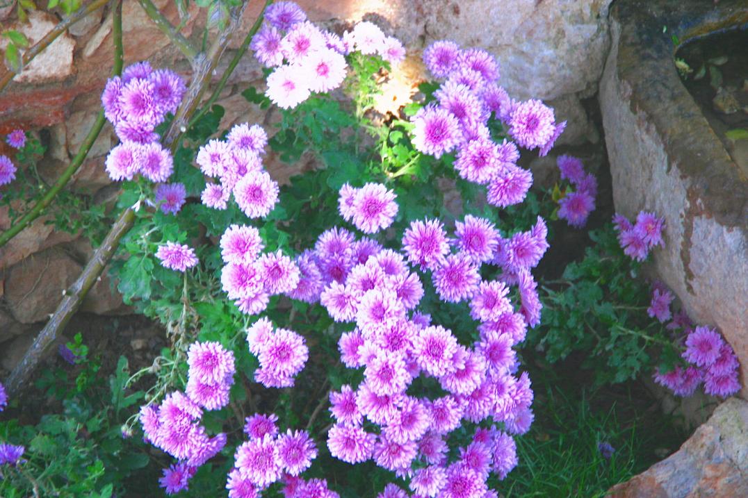 Foto de Siurana de Prades (Tarragona), España