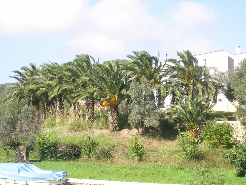 Foto de Maó - Menorca (Illes Balears), España