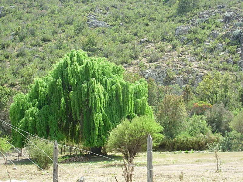Foto de Colliguay, Chile
