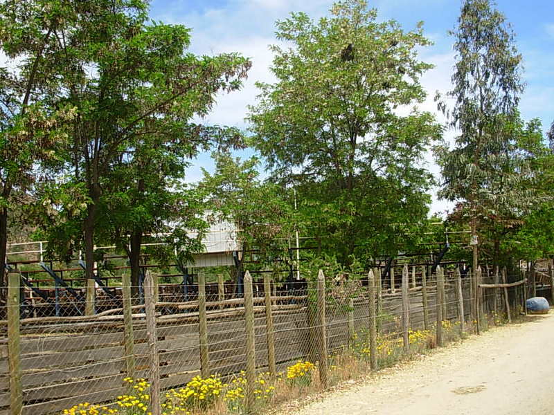 Foto de Colliguay, Chile