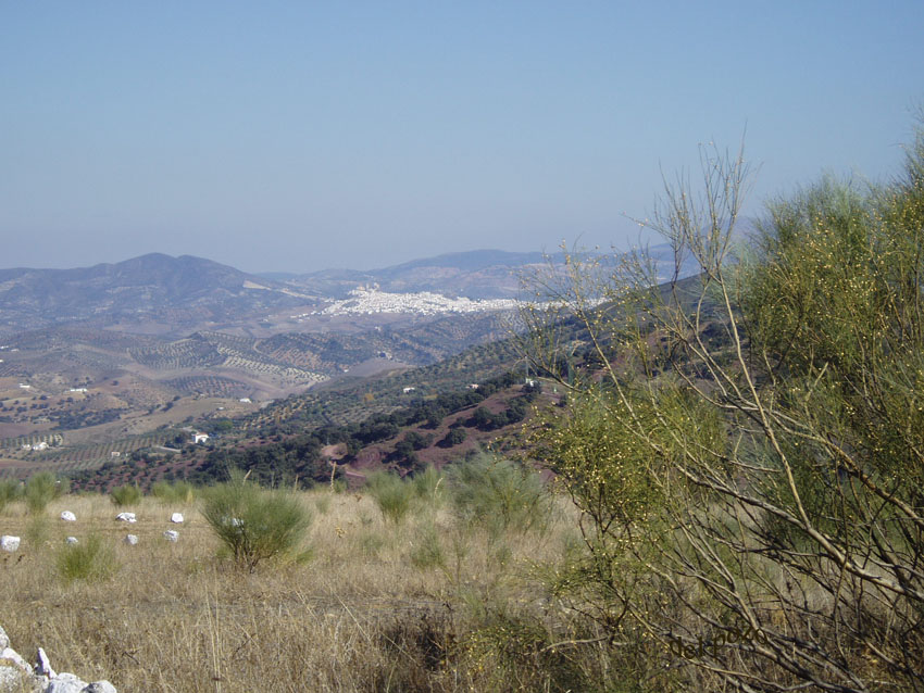 Foto de El Gastor (Cádiz), España