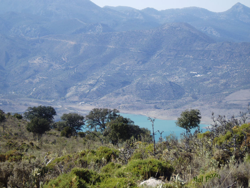 Foto de El Gastor (Cádiz), España