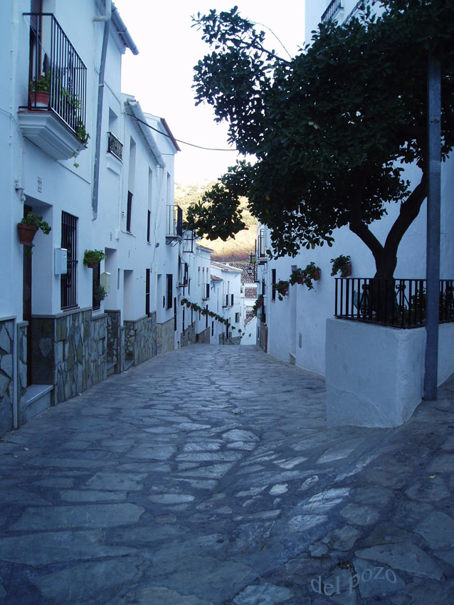 Foto de El Gastor (Cádiz), España