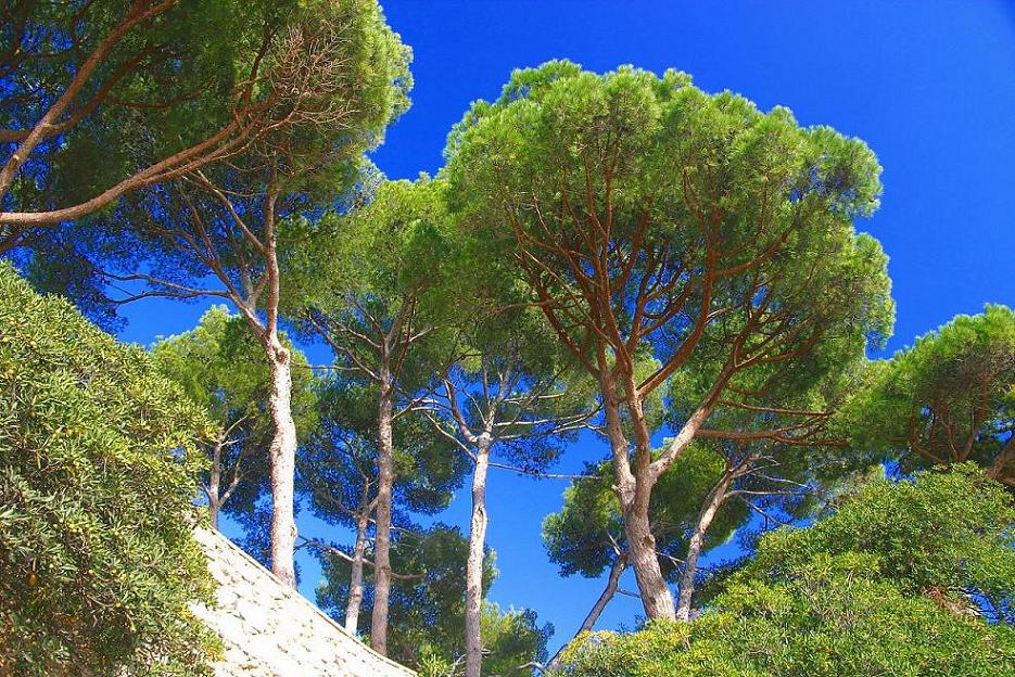 Foto de Palafrugell (Girona), España