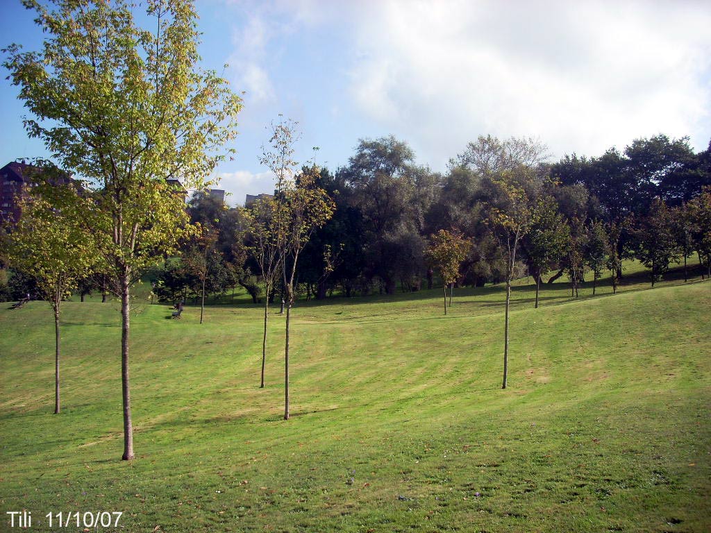 Foto de Oviedo (Asturias), España