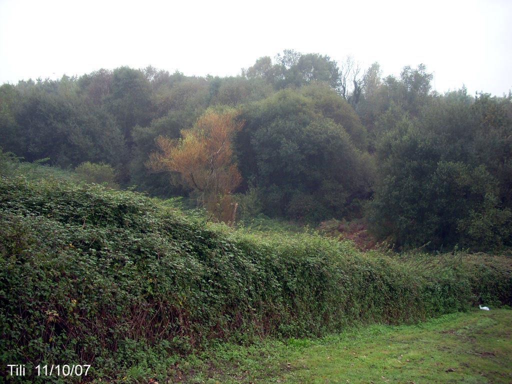 Foto de Oviedo (Asturias), España